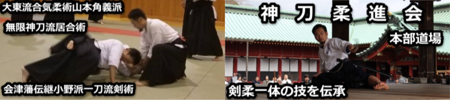 大東流合気柔術・居合術 | 神刀柔進会 | 合気柔術静岡